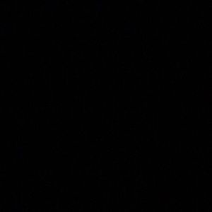 Meet your Posher, Louis